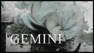 Trailer Gemini